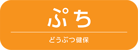 アニコム 損保 マイ ページ