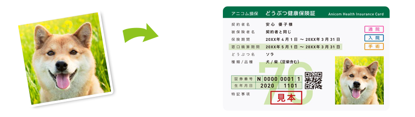 どうぶつ健康保険証イメージ