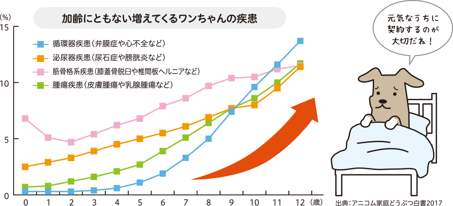 加齢にともない増えてくるワンちゃんの疾患